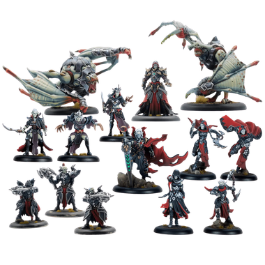 Warmachine: Dusk Fane of Nyrro - Death’s Whisper Army Box、Steamforged Games、kayou