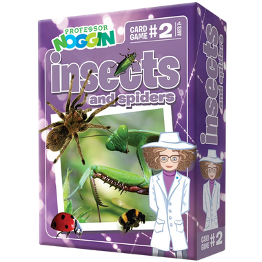 Professor Noggin: Insects and Spiders、Outset、kayou