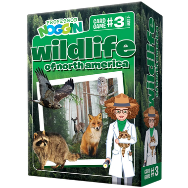 Professor Noggin: Wildlife of North America、Outset、kayou