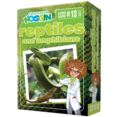 Professor Noggin: Reptiles and Amphibians、Outset、kayou
