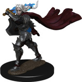 Pathfinder Battles Premium Miniatures: Female Elf Champion