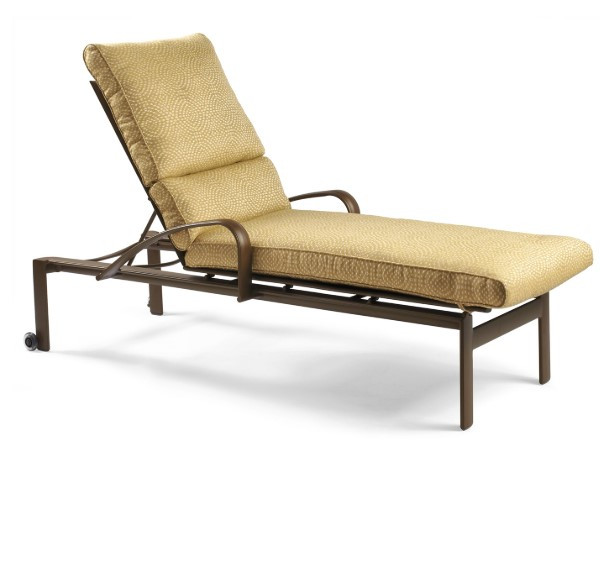 Belvedere Cushion Chasie Winston