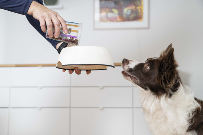 Veterinary HPM Adult Neutered Dog Small & Toy