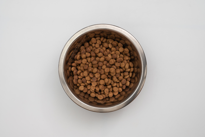 Veterinary HPM Dog Junior Special Medium