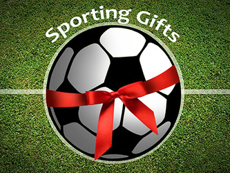 Football/Soccer Football/Soccer