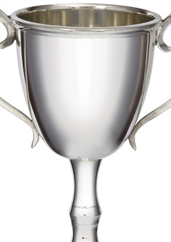 Medium Bullet Trophy 220 mm. Medium Bullet Trophy 220 mm.