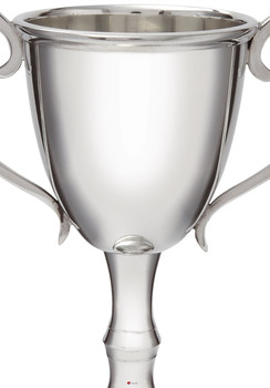 Small Bullet Trophy 210 mm. Small Bullet Trophy 210 mm.