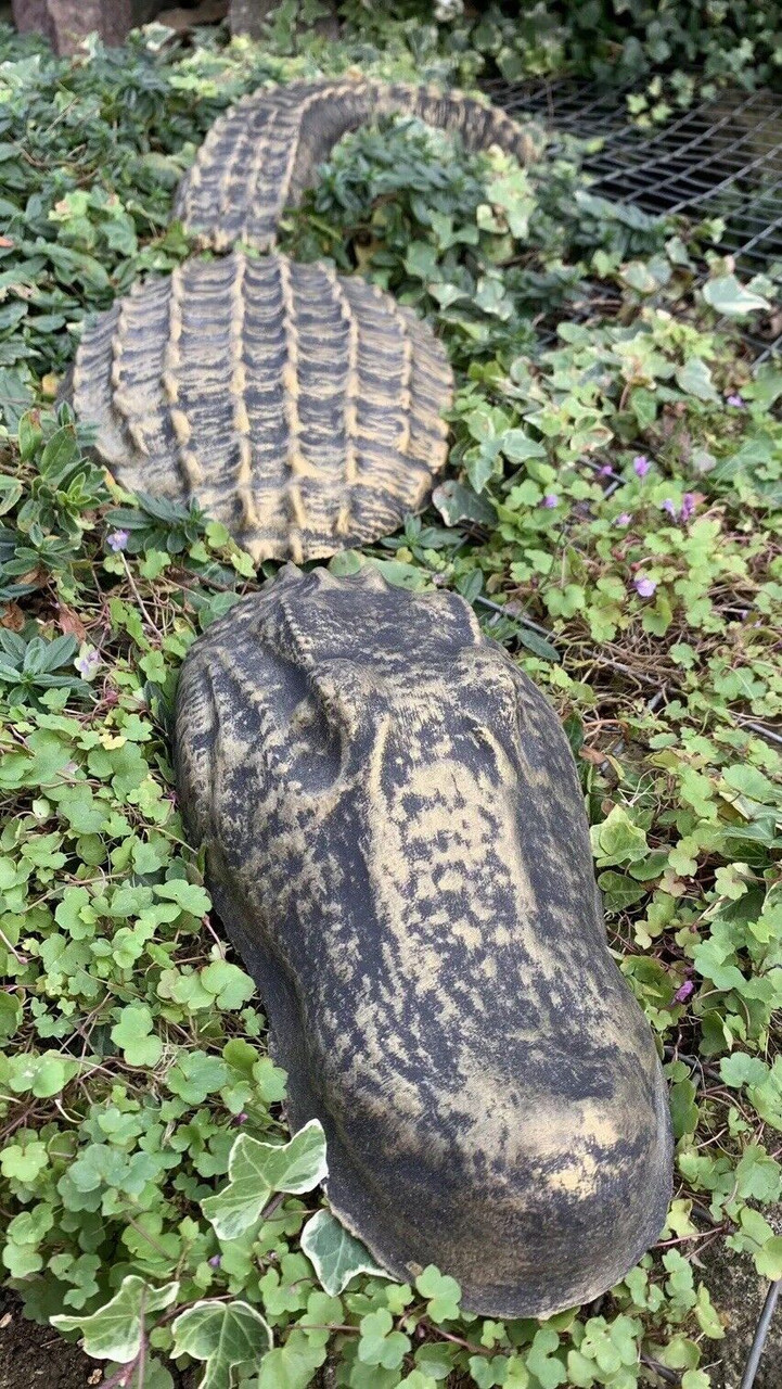 STONE GARDEN GOLD 3 PIECE CROCODILE ALLIGATOR GIFT CONCRETE ORNAMENT