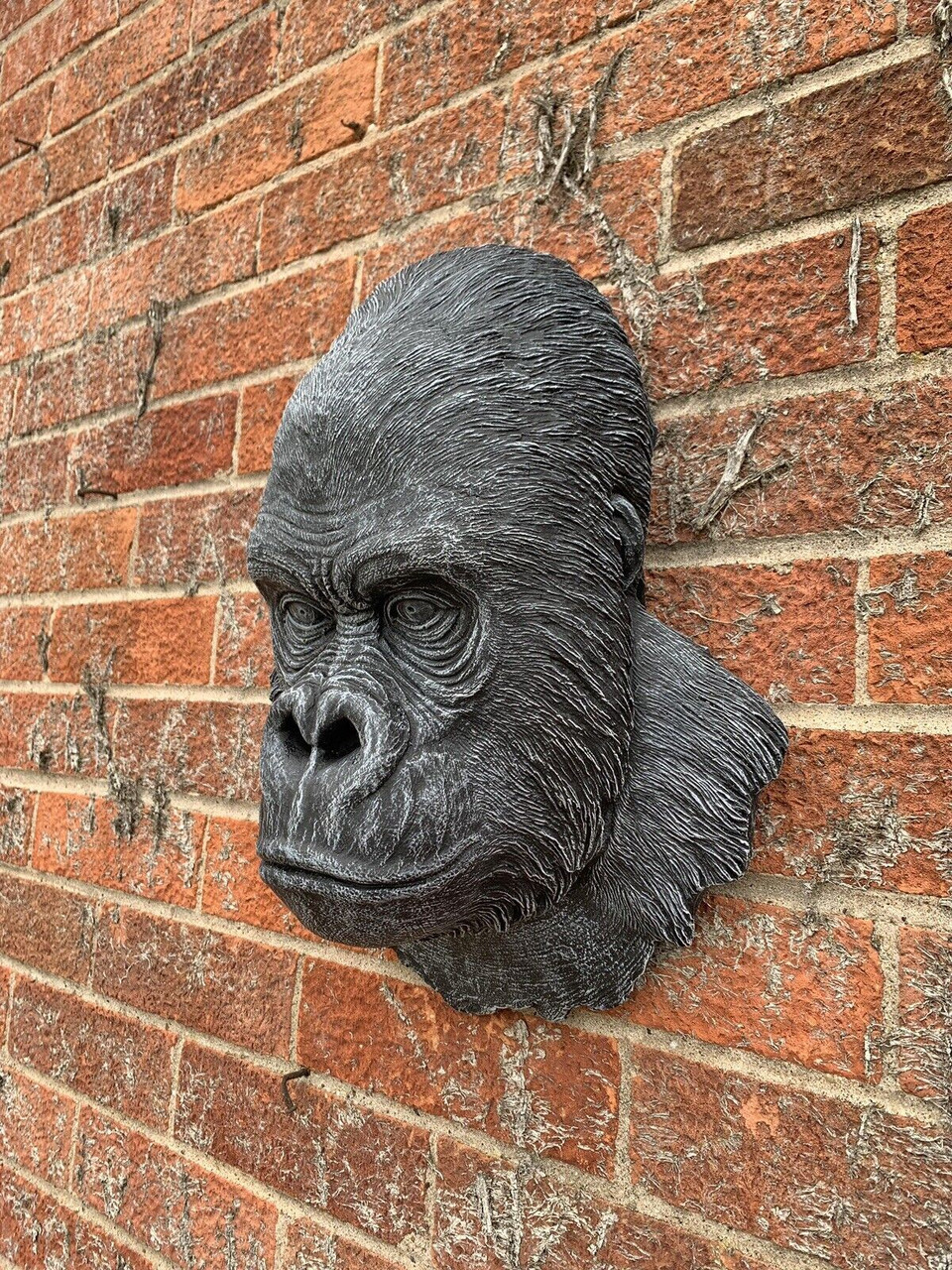 STONE GARDEN LARGE DETAILED GORILLA APE HEAD WALL HANGING PLAQUE ORNAMENT