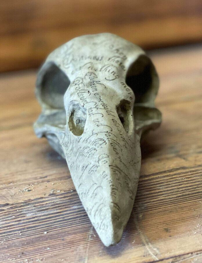 STONE GARDEN RAVENHEAD RAVEN HEAD BIRD SKULL GOTHIC HUMAN HEAD ORNAMENT STATUE