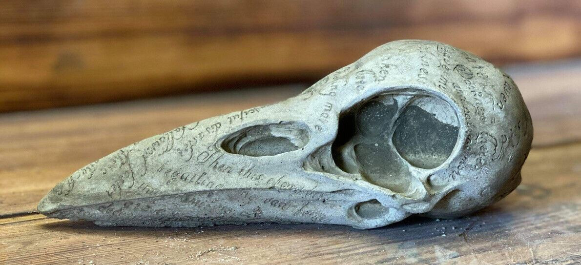 STONE GARDEN RAVENHEAD RAVEN HEAD BIRD SKULL GOTHIC HUMAN HEAD ORNAMENT STATUE