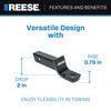 Reese Towpower Trailer Hitch Ball Mount, Fits 2 in. Receiver, 2 in. Drop, 0.75 in. Rise, 6,000 lbs. Capacity, Black RT2117111