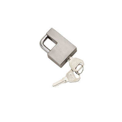 Draw-tite Trailer Coupler Lock, Stainless Steel