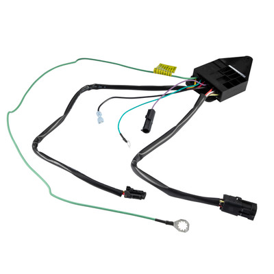 LIPPERT Kwikee Step Control with Override & PKD