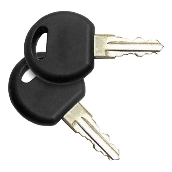 CURT 19266-01 Replacement Keys for 18088 Aluminum Bike Rack (201 Lock Cylinder) - CURT