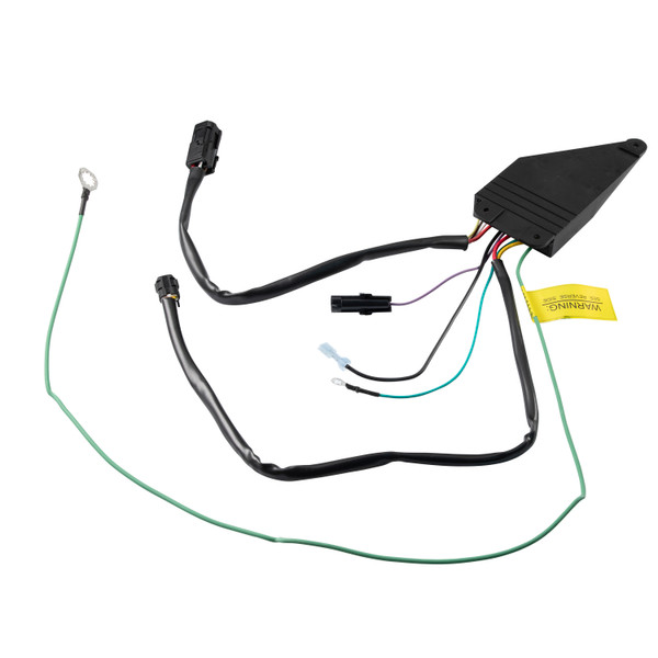 LIPPERT Kwikee Step Control with Override & PKD