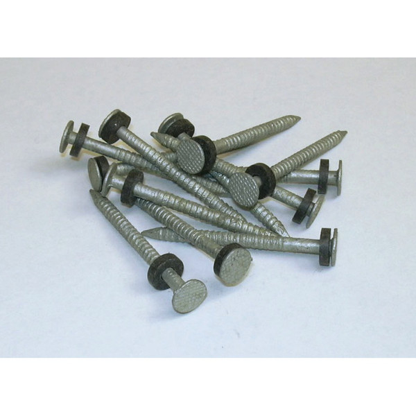 Taylor Made Galvinized Nails with Washers for Dock Edging, 1/8 lb. #96028 - Taylor Made