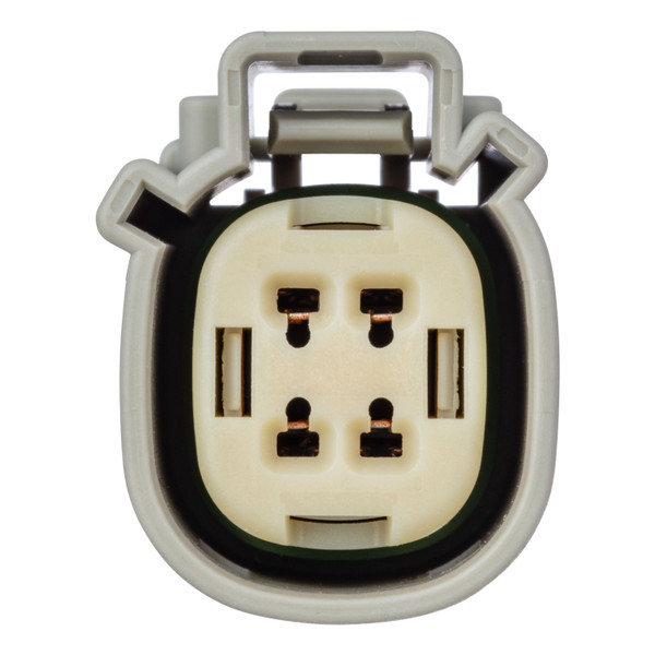 CURT 56548 Vehicle-Side Custom 4-Pin Trailer Wiring Harness, Fits Select Ford Transit 350 Dual Rear Wheel