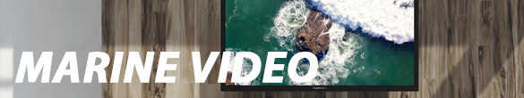 Marine Video