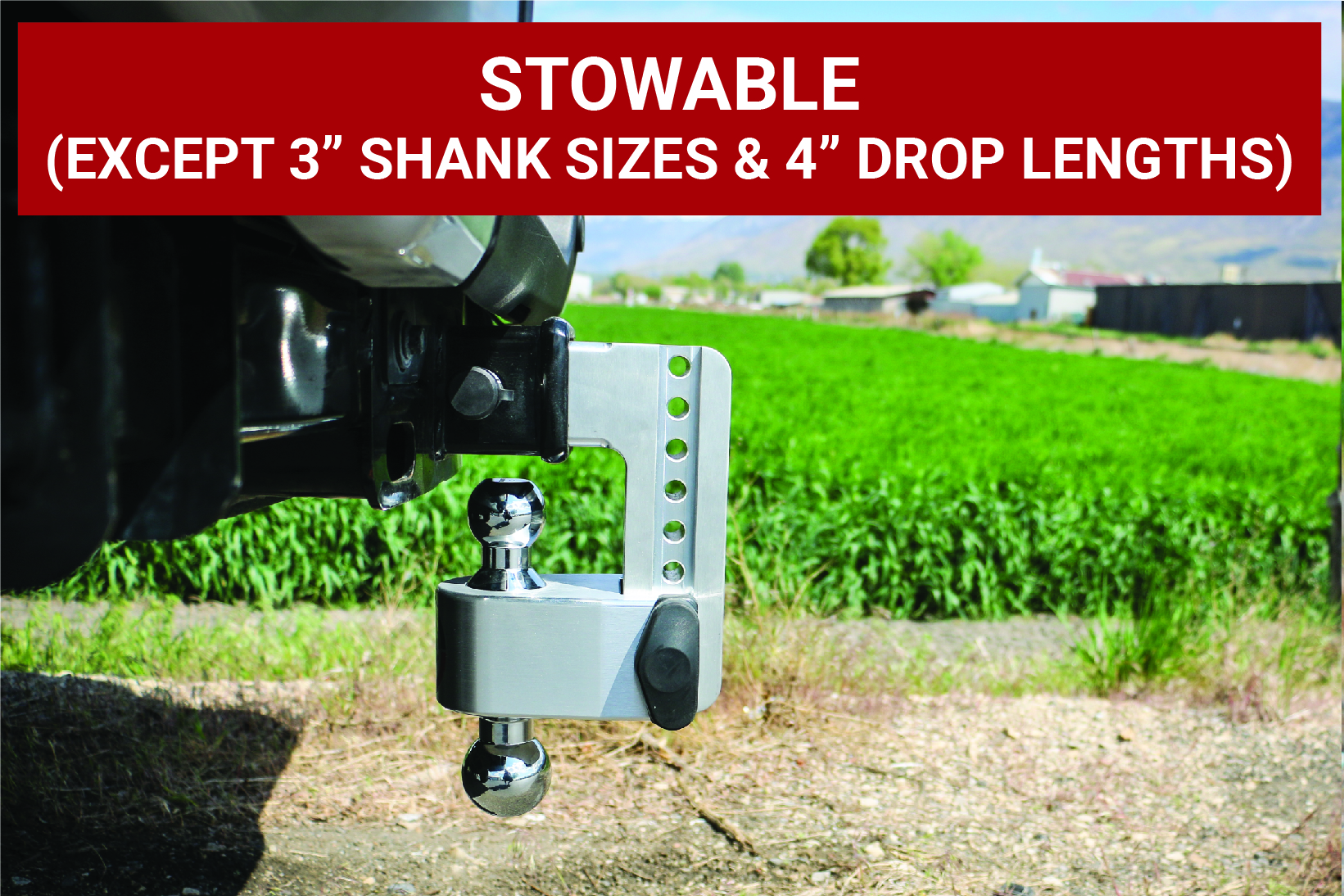 Weigh Safe 180 Hitch - Drop Hitch w/Chrome Combo Ball - 4" Drop for 2" Shank w/Hitch Pin CTB4-2-KA thumbnail 4