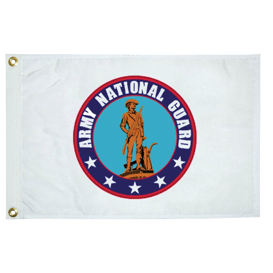 Taylor Made Military Flag Army National Guard, 12" x 18" #5627
