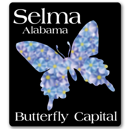 4" X 4" 4cp Rounded Corner Decals — Butterfly on Black