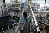 The Future of Food? Aquaculture & Aquaponics