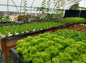 Aquaponics Equipment