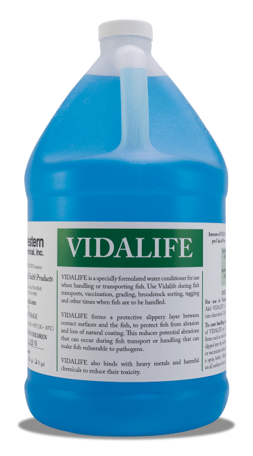  VIDALIFE 1GAL (VIDALIFE 1GAL)