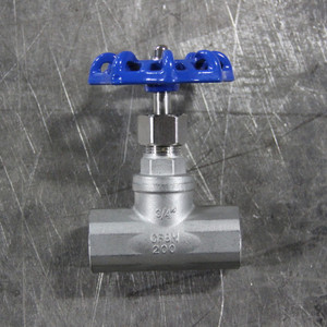 NPT Globe Valve - 316 SS NPT Globe Valve - 316 SS