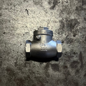 NPT Swing Check Valve - 304 SS NPT Swing Check Valve - 304 SS