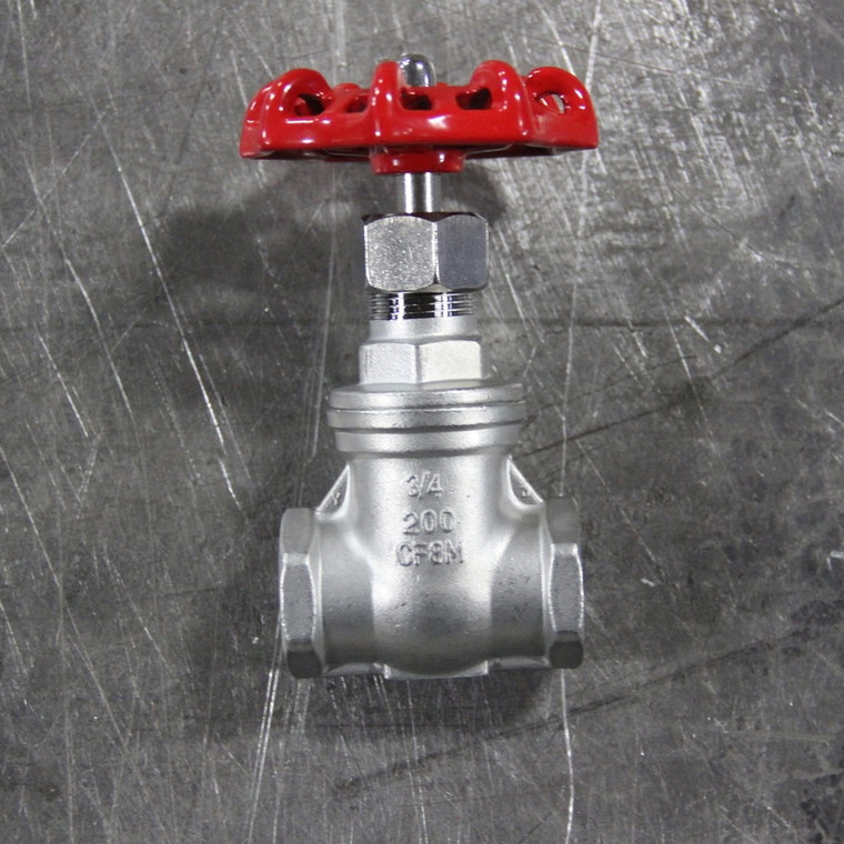 NPT Globe Valve - 304 SS