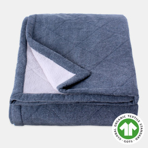 dragonstone pet blanket