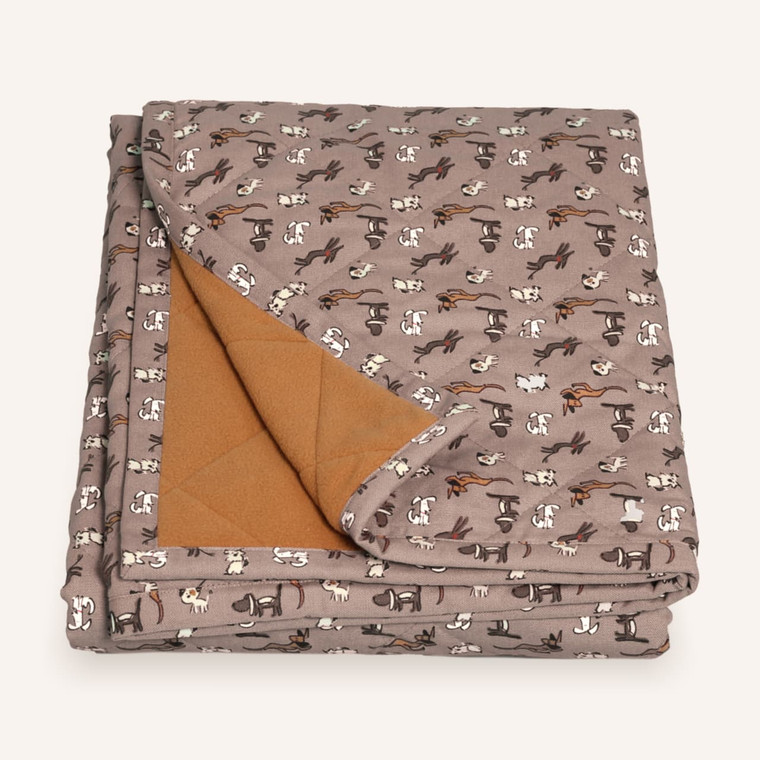 daysleeper pet blanket