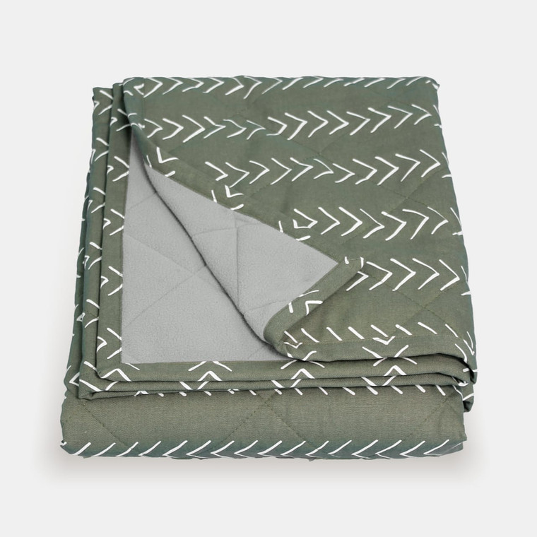 forever young pet blanket