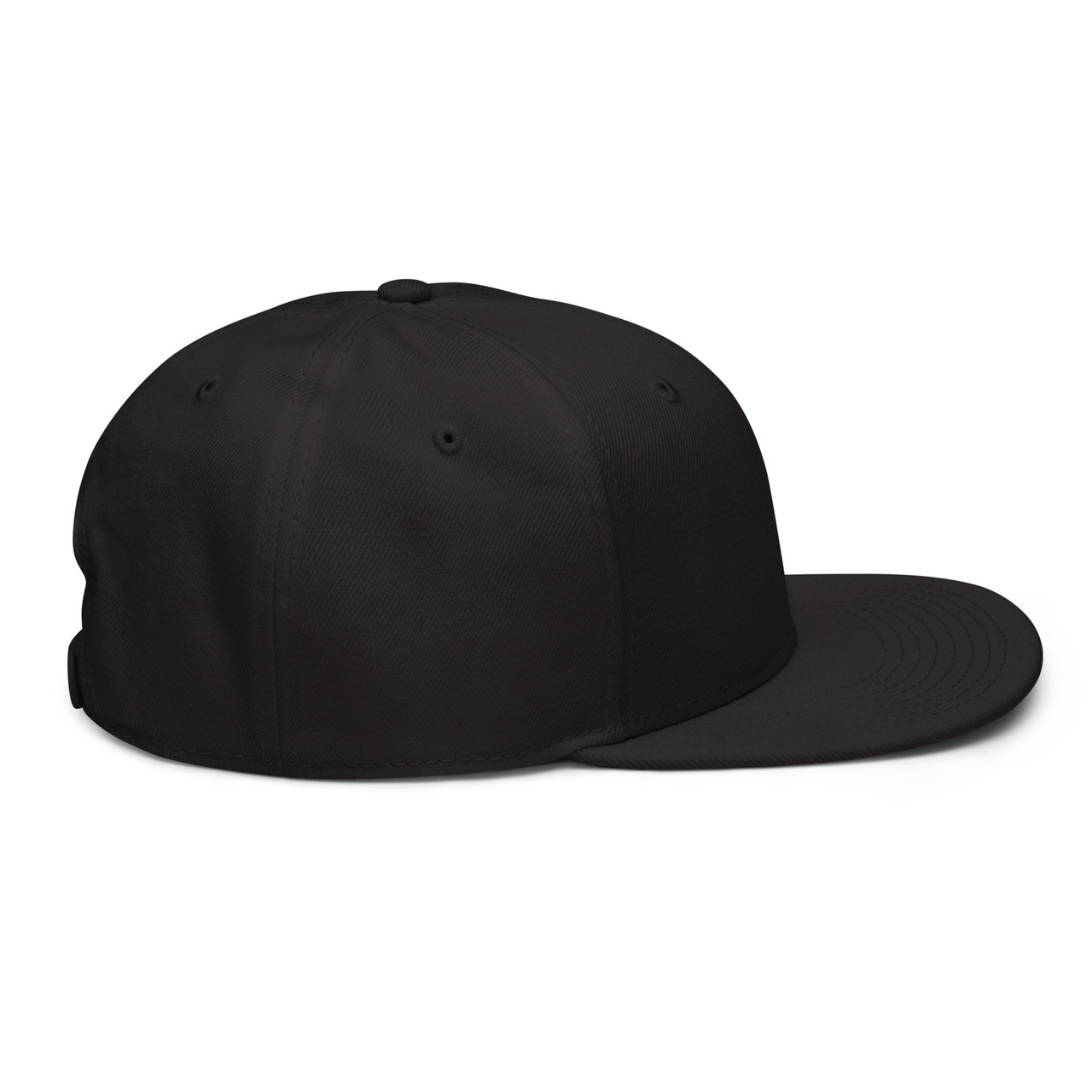 Area 13 Ebikes Snapback Hat - Area 13