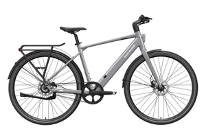 Mokwheel Flint Pro Ebike - Grey
