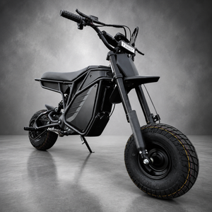 Electro and Co Rizzler Mini Bike