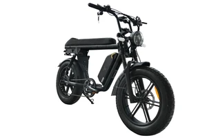 The Power Goat SL Electric Bike