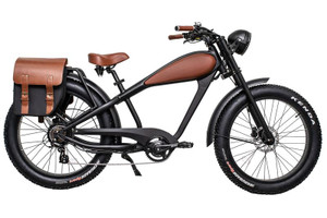 Revi Bikes Cheetah Revi Bikes Cheetah