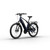 Segway Myon Removable Top Tube