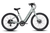 Aventon Pace 5 REC Step-Through Ebike - Glacier Mint
