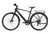 Mokwheel Flint Ebike