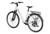 Mokwheel Flint ST Ebike
