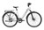 Mokwheel Flint Pro ST Ebike - White