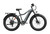 Mokwheel Tor Plus Ebike - Grey