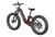 Mokwheel Obsidian ST 2.0 Ebike
