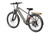 Mokwheel Asphalt Ebike