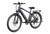 Mokwheel Asphalt Ebike