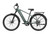 Mokwheel Tarmac Ebike